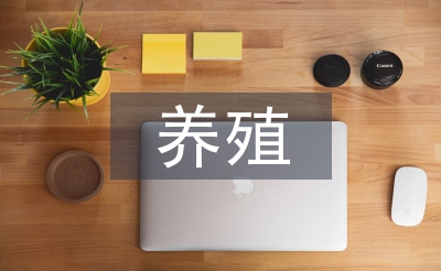 肉牛養(yǎng)殖管理技術(shù)