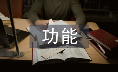 功能對(duì)等理論論文
