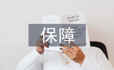 保障工作總結