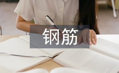 鋼筋實訓報告