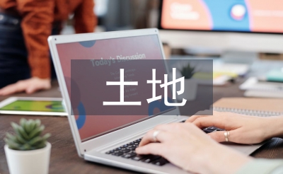 土地監(jiān)管論文