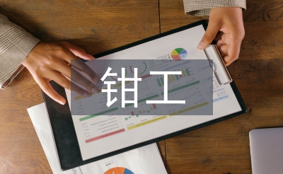 鉗工個(gè)人工作計(jì)劃