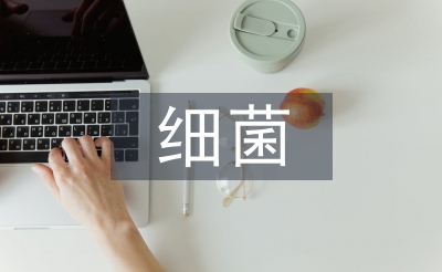 細菌教案