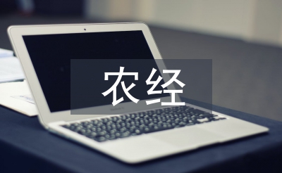 農經工作總結