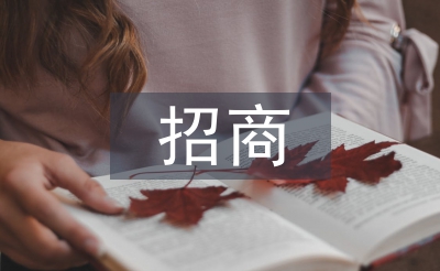 建材市場招商工作總結