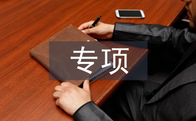 專項督查匯報材料