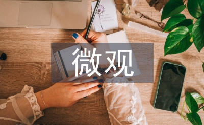 微觀經濟論文
