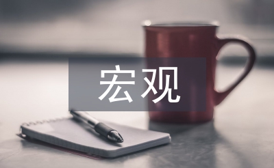 宏觀經濟管理論文