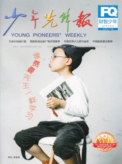財(cái)智少年