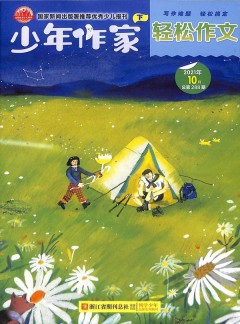 少年作家
