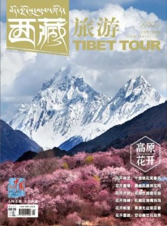 西藏旅游
